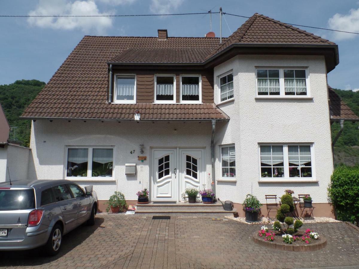 Ferienwohnung Erz Burgen  Dış mekan fotoğraf