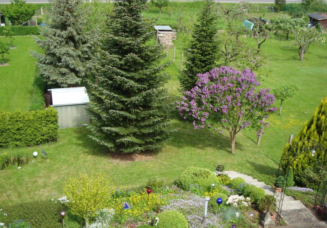 Ferienwohnung Erz Burgen  Dış mekan fotoğraf